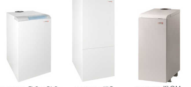 Газовые котлы Протерм Медведь